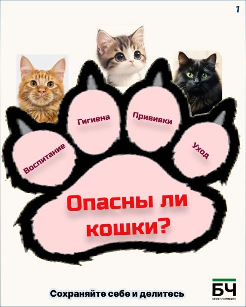Опасность — понятие относительное (карточки)