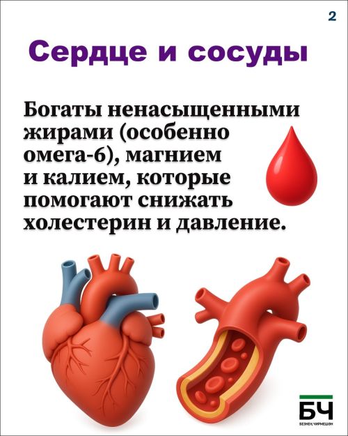 Щелкаем на здоровье: чем полезны обычные семечки? (карточки)