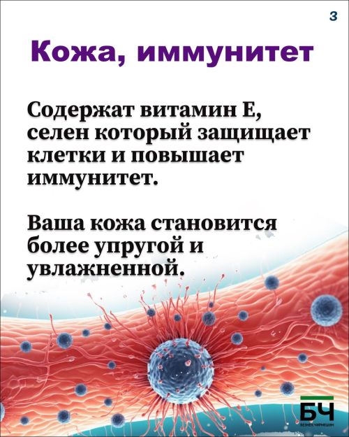 Щелкаем на здоровье: чем полезны обычные семечки? (карточки)