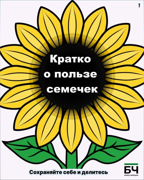 Щелкаем на здоровье: чем полезны обычные семечки? (карточки)
