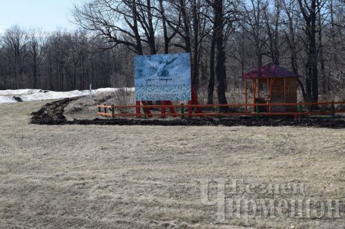 5335 гектар яңа урман: Татарстан 2025 елда экологик проектларны уңышлы тормышка ашырды