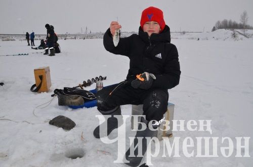 Чирмешән районындагы кайбер вакыйгалар: редакция фотоархивыннан
