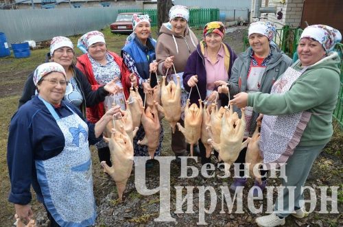 Чирмешән районындагы кайбер вакыйгалар: редакция фотоархивыннан