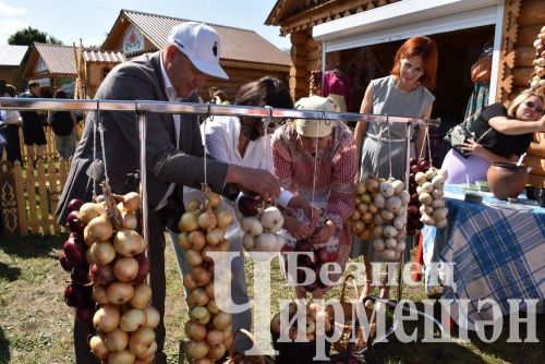 Чирмешән районындагы кайбер вакыйгалар: редакция фотоархивыннан
