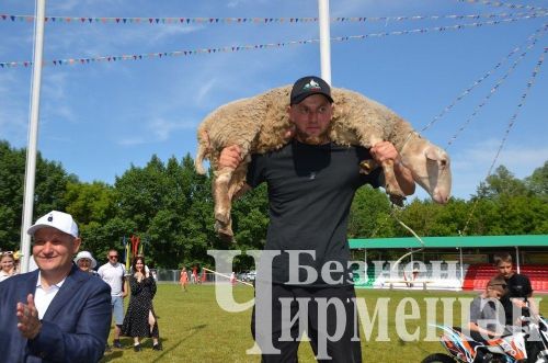 Чирмешән районындагы кайбер вакыйгалар: редакция фотоархивыннан