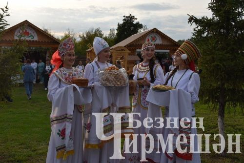 Чирмешән районындагы кайбер вакыйгалар: редакция фотоархивыннан
