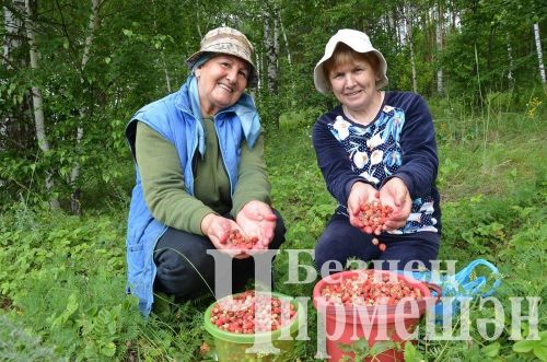 Чирмешән районындагы кайбер вакыйгалар: редакция фотоархивыннан