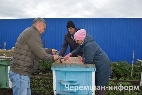 Круглый год в доме Валиуллиных из Утыз Имян — цветущий уголок