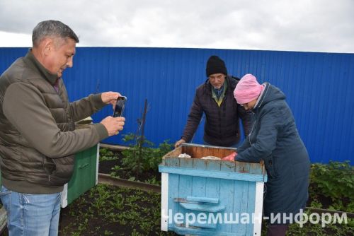 Круглый год в доме Валиуллиных из Утыз Имян — цветущий уголок
