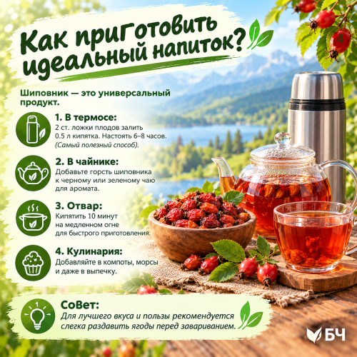 Шиповник: природный иммуностимулятор, который подходит не всем