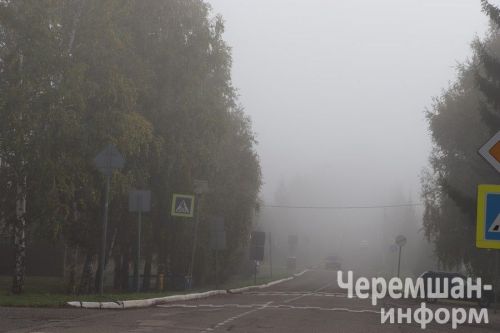 Чирмешән районында «яшел басып алучылар»га каршы сугыш игълан ителде