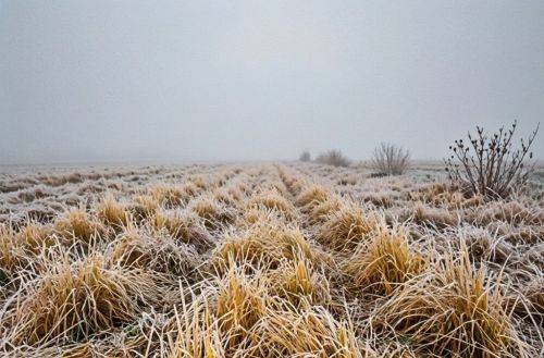 23 октября: приметы и тихий свет лучины