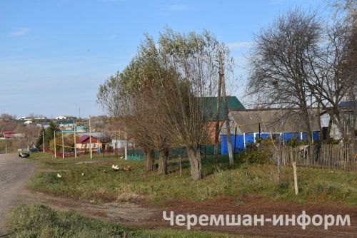 Туган як кушаматлары: нәсел тарихын саклаучы «халык паспорты»