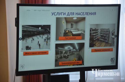 Глава Черемшанского района поручил организовать в ледовом Дворце группу фигуристов