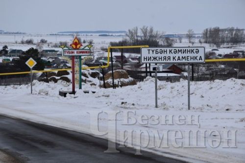 Түбән Кәминкә авыл җирлегендә 10 кече ферма эшли