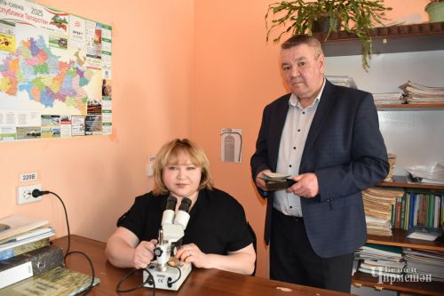 Быел Чирмешән районы хуҗалыкларында көнбагыш басуларын арттырмакчылар
