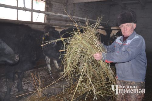 Чирмешән районында язгы кыр эшләренә 225 трактор чыгачак
