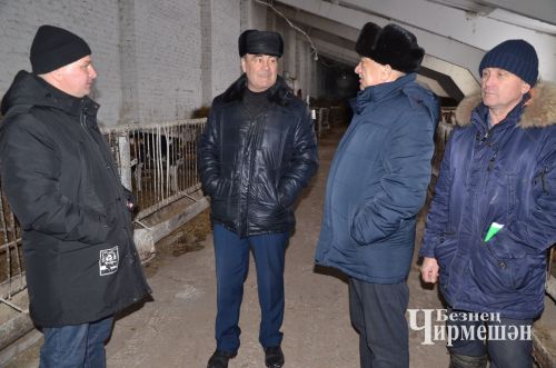 Чирмешән районында язгы кыр эшләренә 225 трактор чыгачак