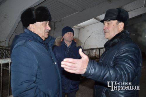 Чирмешән районында язгы кыр эшләренә 225 трактор чыгачак