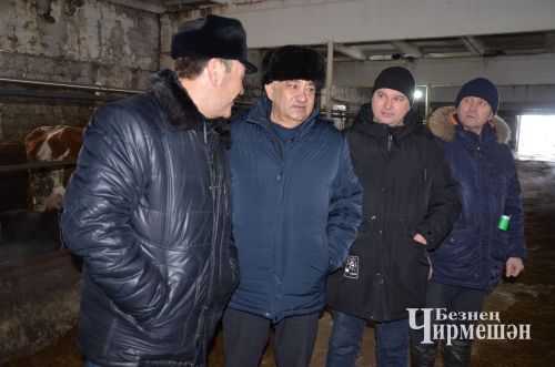 Чирмешән районында язгы кыр эшләренә 225 трактор чыгачак