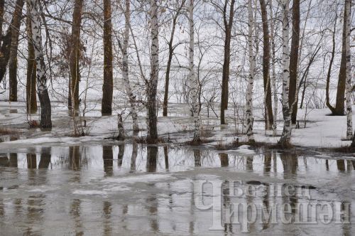 Народные приметы на 1 апреля