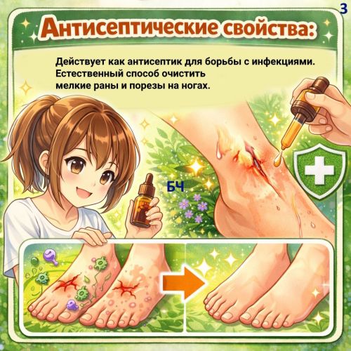 Розмарин (карточки)