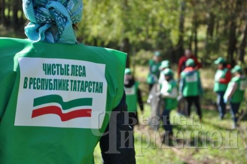 Чирмешән урманчылары тарихи валны чүп-чардан арындырачак