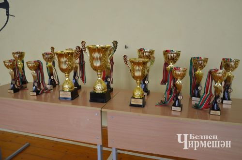 Лашманда узган “Кама арты Кубогы”ның төп бүләген Җәлил йөзүчеләре алып китте