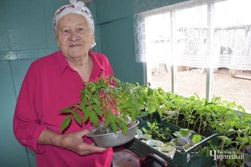 Күтәмә авылыннан Валентина Сомова 92 яшендә дә гөмбәгә җыярга йөри