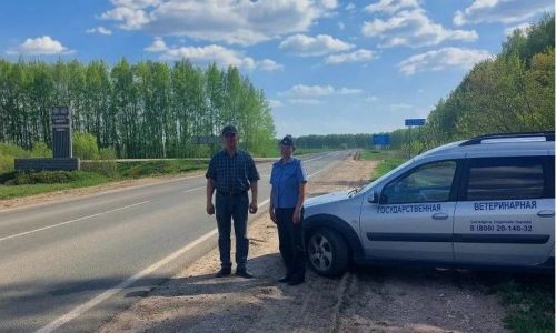 Чирмешән ветеринарлары юлга рейдка чыкты