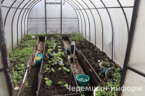 Бакчада эшләп аручыларга хәл җыю өчен киңәшләр