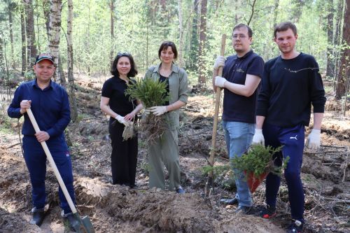 Более 1000 елей высадили сотрудники Государственного комитета Республики Татарстан по тарифам в рамках международной акции «Сад памяти»