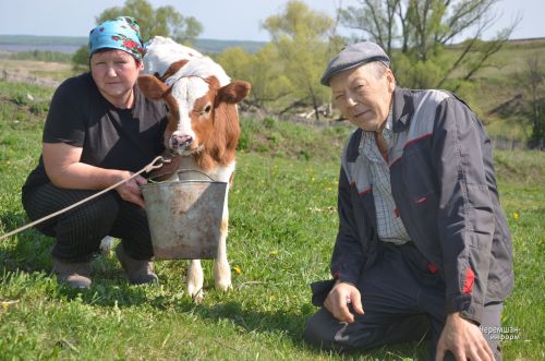 Лагерка авылыннан Наталья Евграфова алты баш сыерын кул белән сава