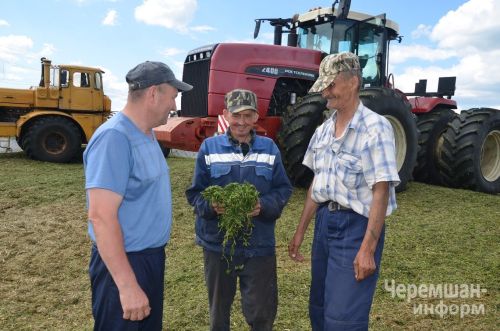 “Әккәрәй” шоферлары сенаж базына көненә 80-100 рейс ясый