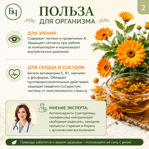 Календулы цветки