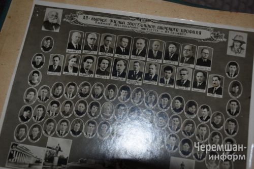Ветераны животноводства из села Якты Тау Дина и Рахимзян Муслиховы прожили вместе 55 лет