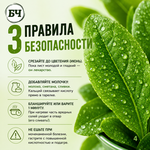 Щавель: польза и вред (карточки)
