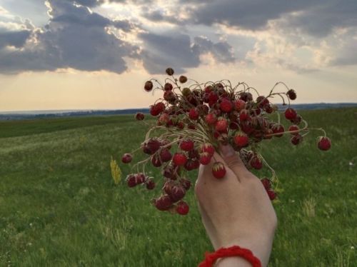 Чирмешәнлеләрнең көннәре ничек уза: җиләкләр, отпускалар һәм очрашулар