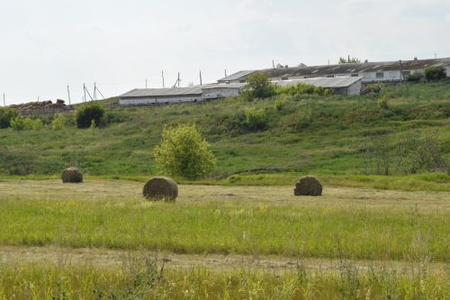 Афанасьево слово: как наши предки управляли энергией Луны