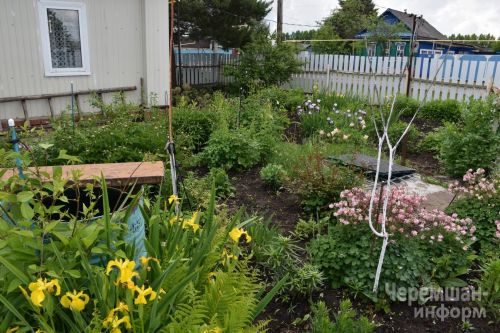 Бакчаларда уңыш пешә, Чирмешән хуҗабикәләре кышка әзерләнә