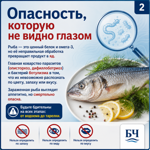 5 минут на чтение — годы здоровой жизни: памятка по рыбе (карточки)