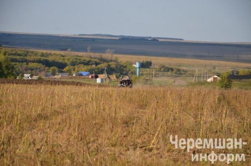 Приметы на 29 июля: сходи в гости, если зовут, и не затевай уборку дома