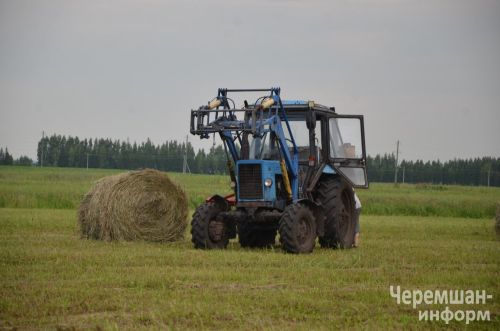 Туймәт фермерының әлегә 80 төргәк яңа печәне бар