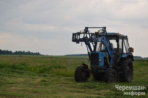 Туймәт фермерының әлегә 80 төргәк яңа печәне бар