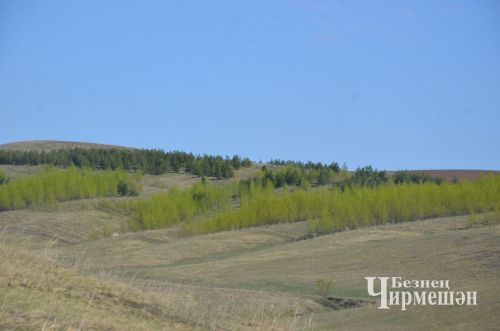 Народные приметы на 9 июля