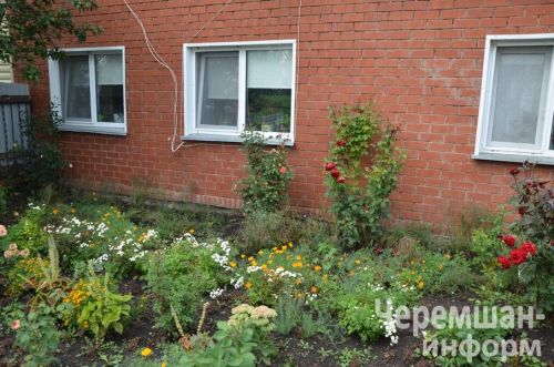 Ульяновкадан Ирина Ермолаева сөйкемле елмаюы белән 1әр килограммлы ук помидорлар үстерә