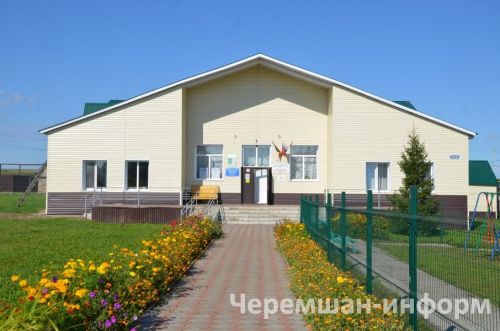 На улицах Карамышева стало много бездомных собак