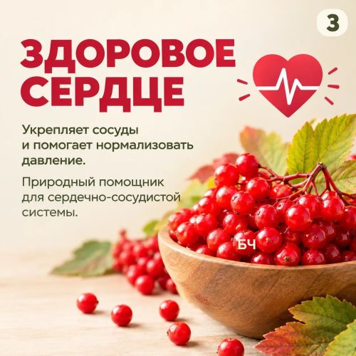 Красные гроздья — натуральная поддержка здоровья