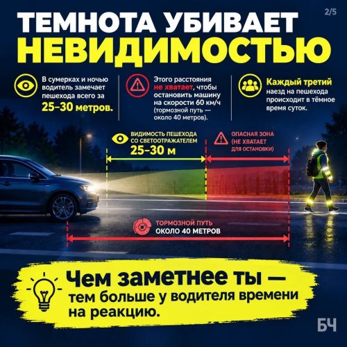 Незаметен — значит в опасности: цифры, которые заставляют задуматься