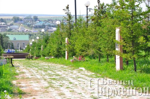 Җәяүлегә таба бер адым: Чирмешәндә эскәмияләр кирәк